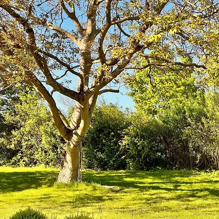 Appartamento Sommerby Sky